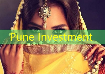 Jaipur Investment：2022 Indian stock investment