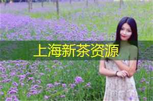 上海新茶工作室微信：历史的沉淀，留在每一次上海茶庄的背影