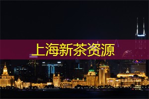 上海娱乐网：网易云音乐带你游上海